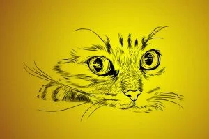 gatos más grandes del mundo