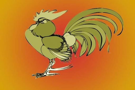 pollos más grandes del mundo